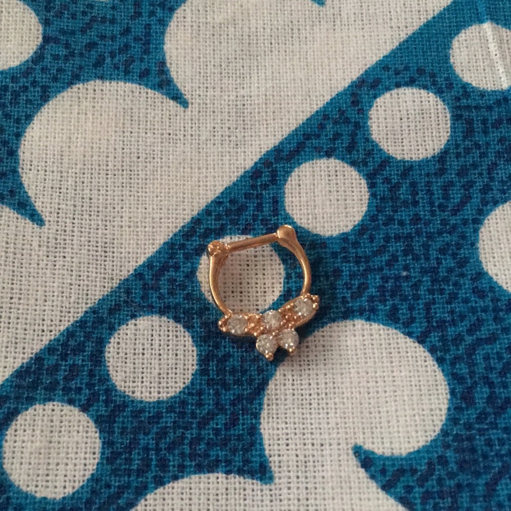 Rose Gold 16G Medium Septum Ring